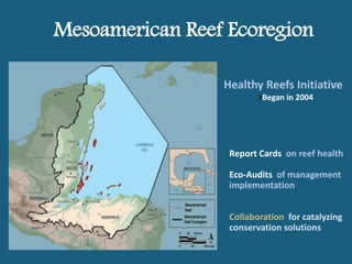 Mesoamerican Reef Ecoregion
Healthy Reefs Initiative
rBegan in 2004
Report Cards on reef health
Eco-Audits of management
i...