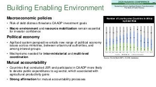 Macroeconomic policies
• Risk of debt distress threatens CAADP investment goals
• Macro environment and resource mobilizat...