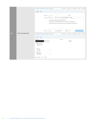 Copyright © 2020 Rizing LLC or a Rizing LLC affiliate company. All rights reserved.16
4.9 Text Component:
 