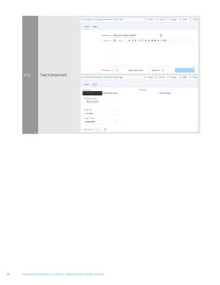 Copyright © 2020 Rizing LLC or a Rizing LLC affiliate company. All rights reserved.18
4.11 Text Component:
 