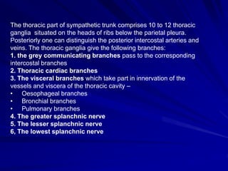 The thoracic part of sympathetic trunk comprises 10 to 12 thoracic
ganglia situated on the heads of ribs below the parietal pleura.
Posteriorly one can distinguish the posterior intercostal arteries and
veins. The thoracic ganglia give the following branches:
1. the grey communicating branches pass to the corresponding
intercostal branches
2. Thoracic cardiac branches
3. The visceral branches which take part in innervation of the
vessels and viscera of the thoracic cavity –
• Oesophageal branches
• Bronchial branches
• Pulmonary branches
4. The greater splanchnic nerve
5. The lesser splanchnic nerve
6, The lowest splanchnic nerve
 