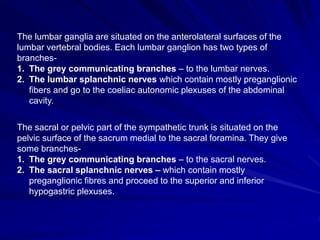 The lumbar ganglia are situated on the anterolateral surfaces of the
lumbar vertebral bodies. Each lumbar ganglion has two types of
branches-
1. The grey communicating branches – to the lumbar nerves.
2. The lumbar splanchnic nerves which contain mostly preganglionic
fibers and go to the coeliac autonomic plexuses of the abdominal
cavity.
The sacral or pelvic part of the sympathetic trunk is situated on the
pelvic surface of the sacrum medial to the sacral foramina. They give
some branches-
1. The grey communicating branches – to the sacral nerves.
2. The sacral splanchnic nerves – which contain mostly
preganglionic fibres and proceed to the superior and inferior
hypogastric plexuses.
 
