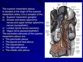 The superior mesenteric plexus
Is situated at the origin of the superior
mesenteric artery. It is a complex of the ;
a) Superior mesenteric ganglion
b) Greater and lesser splanchnic
nerves and upper lumbar splanchnic
nerves (sympathetic)
c) Lumbar spinal nerves (sensory)
d) Vagus nerve (parasympathetic)
The secondary plexuses of the superior
mesenteric plexus are-
 The pancreatic plexus
 The jejunal and ileal plexus
 The caecal plexus
 The right colic plexus
 The middle colic plexus
 