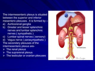 The intermesenteric plexus is situated
between the superior and inferior
mesenteric plexuses . It is formed by –
a) Aorticorenal ganglia
b) Greater and lesser splanchnic
nerves and lumbar splanchnic
nerves ( sympathetic )
c) Lumbar spinal nerves ( sensory)
d) Vagus nerve ( parasympathetic )
The secondary plexuses of the
intermesenteric plexus are-
 The renal plexus
 The suprarenal plexus
 The testicular or ovarian plexuses
 
