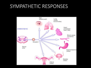 SYMPATHETIC RESPONSES
 