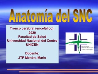 Tronco cerebral (encefálico):
2020
Facultad de Salud
Universidad Nacional del Centro
UNICEN
Docente:
JTP Menón, Mario
 