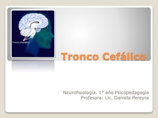 Tronco Cefálico
Neurofisiología. 1° año Psicopedagogía
Profesora: Lic. Daniela Pereyra
 