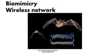 Biomimicry
Wireless network
Eng. & Educator Osama Ghandour
Assiut STEM School
 