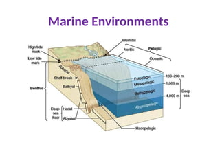 Marine Environments
 