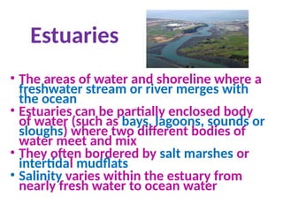 Estuaries
• The areas of water and shoreline where a
freshwater stream or river merges with
the ocean
• Estuaries can be partially enclosed body
of water (such as bays, lagoons, sounds or
sloughs) where two different bodies of
water meet and mix
• They often bordered by salt marshes or
intertidal mudflats
• Salinity varies within the estuary from
nearly fresh water to ocean water
 