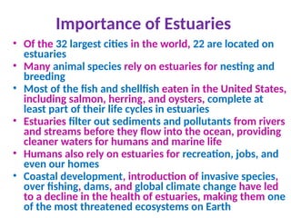 Importance of Estuaries
• Of the 32 largest cities in the world, 22 are located on
estuaries
• Many animal species rely on estuaries for nesting and
breeding
• Most of the fish and shellfish eaten in the United States,
including salmon, herring, and oysters, complete at
least part of their life cycles in estuaries
• Estuaries filter out sediments and pollutants from rivers
and streams before they flow into the ocean, providing
cleaner waters for humans and marine life
• Humans also rely on estuaries for recreation, jobs, and
even our homes
• Coastal development, introduction of invasive species,
over fishing, dams, and global climate change have led
to a decline in the health of estuaries, making them one
of the most threatened ecosystems on Earth
 
