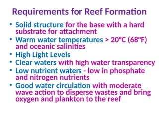 Requirements for Reef Formation
• Solid structure for the base with a hard
substrate for attachment
• Warm water temperatures > 20°C (68°F)
and oceanic salinities
• High Light Levels
• Clear waters with high water transparency
• Low nutrient waters - low in phosphate
and nitrogen nutrients
• Good water circulation with moderate
wave action to disperse wastes and bring
oxygen and plankton to the reef
 