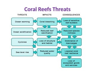 Coral Reefs Threats
 