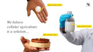We believe
cellular agriculture
is a solution…
Eggs without hens.
Milk without cows.
Beef without cows.
 