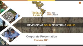1
TSXV: TSG
OTCQX:TSGZF
DEVELOPING GOLD DELIVERING VALUE
Corporate Presentation
February 2021
www.tristargold.com
 