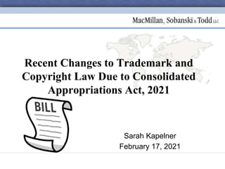 Sarah Kapelner
February 17, 2021
Recent Changes to Trademark and
Copyright Law Due to Consolidated
Appropriations Act, 2021
 