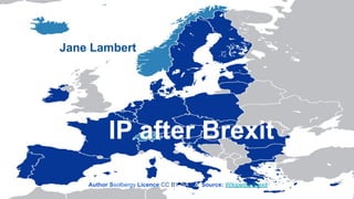 IP after Brexit
Jane Lambert
Author Ssolbergy Licence CC BY-SA 4.0 Source: Wikipedia Brexit
 