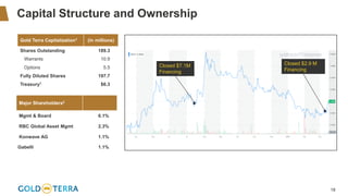 18
Capital Structure and Ownership
Gold Terra Capitalization1 (in millions)
Shares Outstanding 189.3
Warrants 10.9
Options 5.5
Fully Diluted Shares 197.7
Treasury1 $6.3
Major Shareholders2
Mgmt & Board 6.1%
RBC Global Asset Mgmt 2.3%
Konwave AG 1.1%
Gabelli 1.1%
Closed $7.1M
Financing
Closed $2.9 M
Financing
 