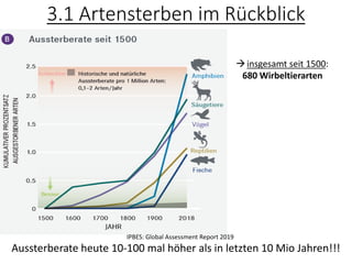 3.1 Artensterben im Rückblick
Aussterberate heute 10-100 mal höher als in letzten 10 Mio Jahren!!!
IPBES: Global Assessment Report 2019
→insgesamt seit 1500:
680 Wirbeltierarten
 