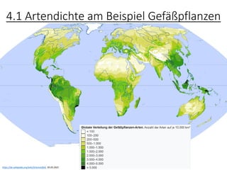 4.1 Artendichte am Beispiel Gefäßpflanzen
https://de.wikipedia.org/wiki/Artenvielfalt, 05.05.2021
 