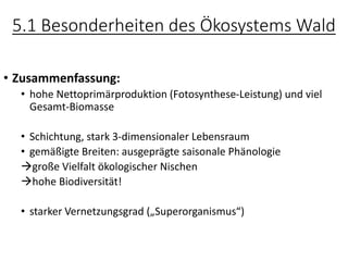 5.1 Besonderheiten des Ökosystems Wald
• Zusammenfassung:
• hohe Nettoprimärproduktion (Fotosynthese-Leistung) und viel
Gesamt-Biomasse
• Schichtung, stark 3-dimensionaler Lebensraum
• gemäßigte Breiten: ausgeprägte saisonale Phänologie
→große Vielfalt ökologischer Nischen
→hohe Biodiversität!
• starker Vernetzungsgrad („Superorganismus“)
 