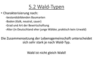 5.2 Wald-Typen
• Charakterisierung nach:
-bestandsbildenden Baumarten
-Boden (Kalk, neutral, sauer)
-Grad und Art der Bewirtschaftung
-Alter (in Deutschland eher junge Wälder, praktisch kein Urwald)
Die Zusammensetzung der Lebensgemeinschaft unterscheidet
sich sehr stark je nach Wald-Typ.
Wald ist nicht gleich Wald!
 