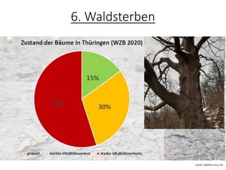 6. Waldsterben
Quelle: Stadtforst Jena, KSJ
 
