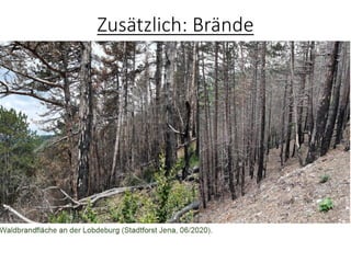 Zusätzlich: Brände
 