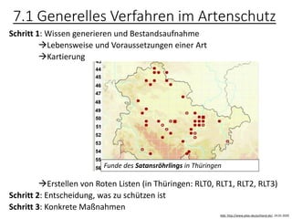 7.1 Generelles Verfahren im Artenschutz
Schritt 1: Wissen generieren und Bestandsaufnahme
→Lebensweise und Voraussetzungen einer Art
→Kartierung
→Erstellen von Roten Listen (in Thüringen: RLT0, RLT1, RLT2, RLT3)
Schritt 2: Entscheidung, was zu schützen ist
Schritt 3: Konkrete Maßnahmen
Funde des Satansröhrlings in Thüringen
Abb: http://www.pilze-deutschland.de/, 24.01.2020
 