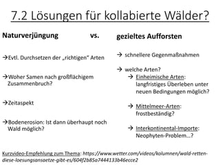 7.2 Lösungen für kollabierte Wälder?
Naturverjüngung vs.
→Evtl. Durchsetzen der „richtigen“ Arten
→Woher Samen nach großflächigem
Zusammenbruch?
→Zeitaspekt
→Bodenerosion: Ist dann überhaupt noch
Wald möglich?
gezieltes Aufforsten
→ schnellere Gegenmaßnahmen
→ welche Arten?
→ Einheimische Arten:
langfristiges Überleben unter
neuen Bedingungen möglich?
→ Mittelmeer-Arten:
frostbeständig?
→ Interkontinental-Importe:
Neophyten-Problem…?
Kurzvideo-Empfehlung zum Thema: https://www.wetter.com/videos/kolumnen/wald-retten-
diese-loesungsansaetze-gibt-es/604f2b85a7444133b46ecce2
 