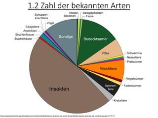 1.2 Zahl der bekannten Arten
https://upload.wikimedia.org/wikipedia/commons/thumb/d/de/Species_diversity_pie_chart_DE.svg/1024px-Species_diversity_pie_chart_DE.svg.png, 09.09.19
 