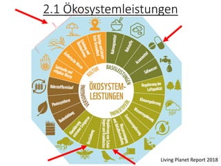 2.1 Ökosystemleistungen
Living Planet Report 2018
 