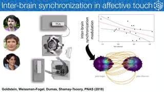 Inter-brain synchronization as a marker of human social cognition in ...