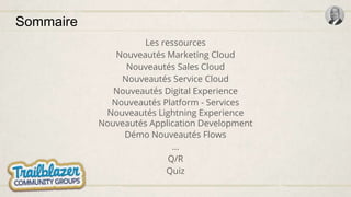 Sommaire
Les ressources
Nouveautés Marketing Cloud
Nouveautés Sales Cloud
Nouveautés Service Cloud
Nouveautés Digital Experience
Nouveautés Platform - Services
Nouveautés Lightning Experience
Nouveautés Application Development
Démo Nouveautés Flows
...
Q/R
Quiz
 