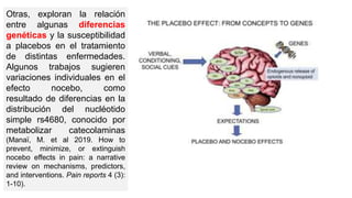 Otras, exploran la relación
entre algunas diferencias
genéticas y la susceptibilidad
a placebos en el tratamiento
de distintas enfermedades.
Algunos trabajos sugieren
variaciones individuales en el
efecto nocebo, como
resultado de diferencias en la
distribución del nucléotido
simple rs4680, conocido por
metabolizar catecolaminas
(Manaï, M. et al 2019. How to
prevent, minimize, or extinguish
nocebo effects in pain: a narrative
review on mechanisms, predictors,
and interventions. Pain reports 4 (3):
1-10).
 