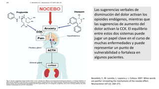 Benedetti, F., M. Lanotte, L. Lopiano y L. Colloca. 2007. When words
are painful: Unraveling the mechanisms of the nocebo effect.
Neuroscience 147 (2): 260–271.
Las sugerencias verbales de
disminución del dolor activan los
opioides endógenos, mientras que
las sugerencias de aumento del
dolor activan la CCK. El equilibrio
entre estos dos sistemas puede
jugar un papel clave en el curso de
muchas enfermedades y puede
representar un punto de
vulnerabilidad o fortaleza en
algunos pacientes.
 