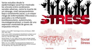 Varios estudios desde la
epidemiología social han mostrado
los vínculos entre condiciones
sociales adversas, como la muerte de
un cónyuge, nivel socioeconómico
bajo o aislamiento social, y un mayor
riesgo de enfermedades infecciosas y
asociadas a la inflamación
(cardiovasculares, autoinmunes,
neurodegenerativas); a través de una
expresión modulada de genes de
respuesta inmune.
Cohen, S. et al. 2007. Psychological stress and disease. JAMA
298: 1685–1687.
Cole, S. et al. 2010. Computational identification of gene–social
environment interaction at the humanIL6 locus. Proc. Natl
Acad. Sci. USA 107: 5681–5686.
Kiecolt-Glaser, J.K. et al. 2003. Chronic stress and age-related
increases in the proinflammatory cytokineIL-6. Proc. Natl Acad.
Sci. USA 100: 9090–9095.
Miller ,G.E. et al. 2008; A functional genomic fingerprint of
chronic stress in humans: bluntedglucocorticoid and increased
NF-κB signaling. Biol. Psychiatry 64: 266–272.
 