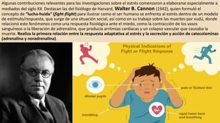 Algunas contribuciones relevantes para las investigaciones sobre el estrés comenzaron a elaborarse especialmente a
mediados del siglo XX. Destacan las del fisiólogo de Harvard, Walter B. Cannon (1942), quien formuló el
concepto de “lucha-huida” (fight-flight) para ilustrar como el ser humano se enfrenta al estrés dentro de un modelo
de estímulo/respuesta, que surge de una situación social, así como en su trabajo sobre las muertes por vudú, donde
relacionó este fenómenos como una respuesta fisiológica ante el miedo, como la contracción de los vasos
sanguíneos o la liberación de adrenalina, que producía arritmias cardiacas y un colapso vascular que causaba la
muerte. Realiza la primera relación entre la respuesta adaptativa al estrés y la secreción y acción de catecolaminas
(adrenalina y noradrenalina).
 