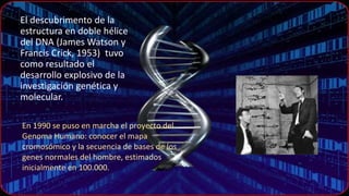 El descubrimento de la
estructura en doble hélice
del DNA (James Watson y
Francis Crick, 1953) tuvo
como resultado el
desarrollo explosivo de la
investigación genética y
molecular.
En 1990 se puso en marcha el proyecto del
Genoma Humano: conocer el mapa
cromosómico y la secuencia de bases de los
genes normales del hombre, estimados
inicialmente en 100.000.
 