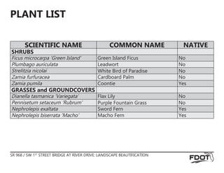 SR 968 / SW 1ST
STREET BRIDGE AT RIVER DRIVE: LANDSCAPE BEAUTIFICATION
PLANT LIST
SCIENTIFIC NAME COMMON NAME NATIVE
SHRUBS
Ficus microcarpa ‘Green Island’ Green Island Ficus No
Plumbago auriculata Leadwort No
Strelitzia nicolai White Bird of Paradise No
Zamia furfuracea Cardboard Palm No
Zamia pumila Coontie Yes
GRASSES and GROUNDCOVERS
Dianella tasmanica ‘Variegata’ Flax Lily No
Pennisetum setaceum ‘Rubrum’ Purple Fountain Grass No
Nephrolepis exaltata Sword Fern Yes
Nephrolepis biserrata ‘Macho’ Macho Fern Yes
 