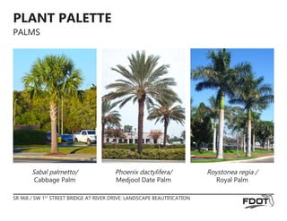 SR 968 / SW 1ST
STREET BRIDGE AT RIVER DRIVE: LANDSCAPE BEAUTIFICATION
PLANT PALETTE
PALMS
Phoenix dactylifera/
Medjool Date Palm
Roystonea regia /
Royal Palm
Sabal palmetto/
Cabbage Palm
 