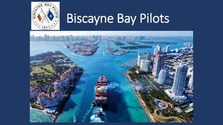 Biscayne Bay Pilots
 