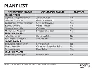 PLANT LIST
SCIENTIFIC NAME COMMON NAME NATIVE
SMALL TREES
Capparis cynophallophora Jamaica Caper Yes
Conocarpus erectus Green Buttonwood Yes
Conocarpus erectus ‘sericeus’ Silver Buttonwood Yes
Eugenia axillaris White Stopper Yes
Gymnanthes lucida Crabwood Yes
Myrcianthes fragrans Simpson’s Stopper Yes
SLENDER PALMS
Adonidia merillii Christmas Palm No
Ptychosperma elegans Solitaire Palm No
LARGE PALMS
Bismarckia nobilis ‘silver’ Silver Bismark No
Livistonia nitida Carnarvon Gorge Fan Palm No
Roystonea regia Royal Palm Yes
CLUSTER PALMS
Acoelorrhaphe wrightii Paurotis Palm Yes
SR 997 / KROME AVENUE: FROM SW 296th
STREET TO SW 232nd
STREET
 