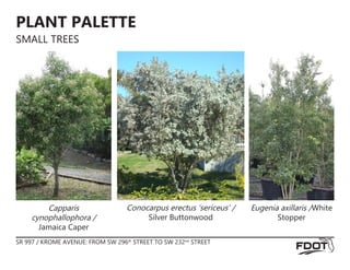 PLANT PALETTE
SMALL TREES
Conocarpus erectus ‘sericeus’ /
Silver Buttonwood
Capparis
cynophallophora /
Jamaica Caper
Eugenia axillaris /White
Stopper
SR 997 / KROME AVENUE: FROM SW 296th
STREET TO SW 232nd
STREET
 