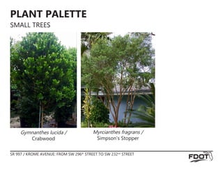 PLANT PALETTE
SMALL TREES
Gymnanthes lucida /
Crabwood
Myrcianthes fragrans /
Simpson’s Stopper
SR 997 / KROME AVENUE: FROM SW 296th
STREET TO SW 232nd
STREET
 