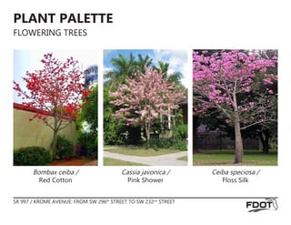PLANT PALETTE
FLOWERING TREES
Cassia javonica /
Pink Shower
Ceiba speciosa /
Floss Silk
Bombax ceiba /
Red Cotton
SR 997 / KROME AVENUE: FROM SW 296th
STREET TO SW 232nd
STREET
 