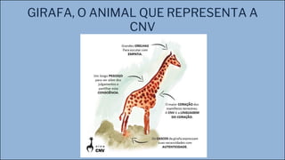 GIRAFA, O ANIMAL QUE REPRESENTA A
CNV
 
