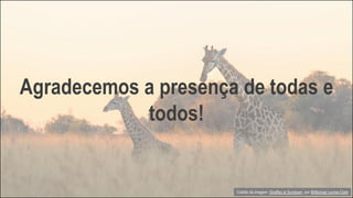 Agradecemos a presença de todas e
todos!
Crédito da imagem: Giraffes at Sundown, por @Michael Levine-Clark
 