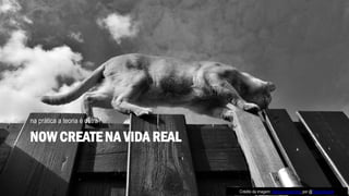 NOW CREATE NA VIDA REAL
na prática a teoria é outra?
Crédito da imagem: Serious observing, por @Tjarko Busink
 