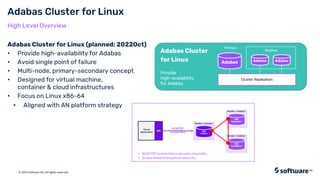 Adabas Roadmap | PDF